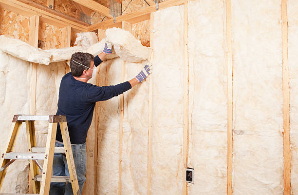 Types of Insulation We Offer in Duson, LA